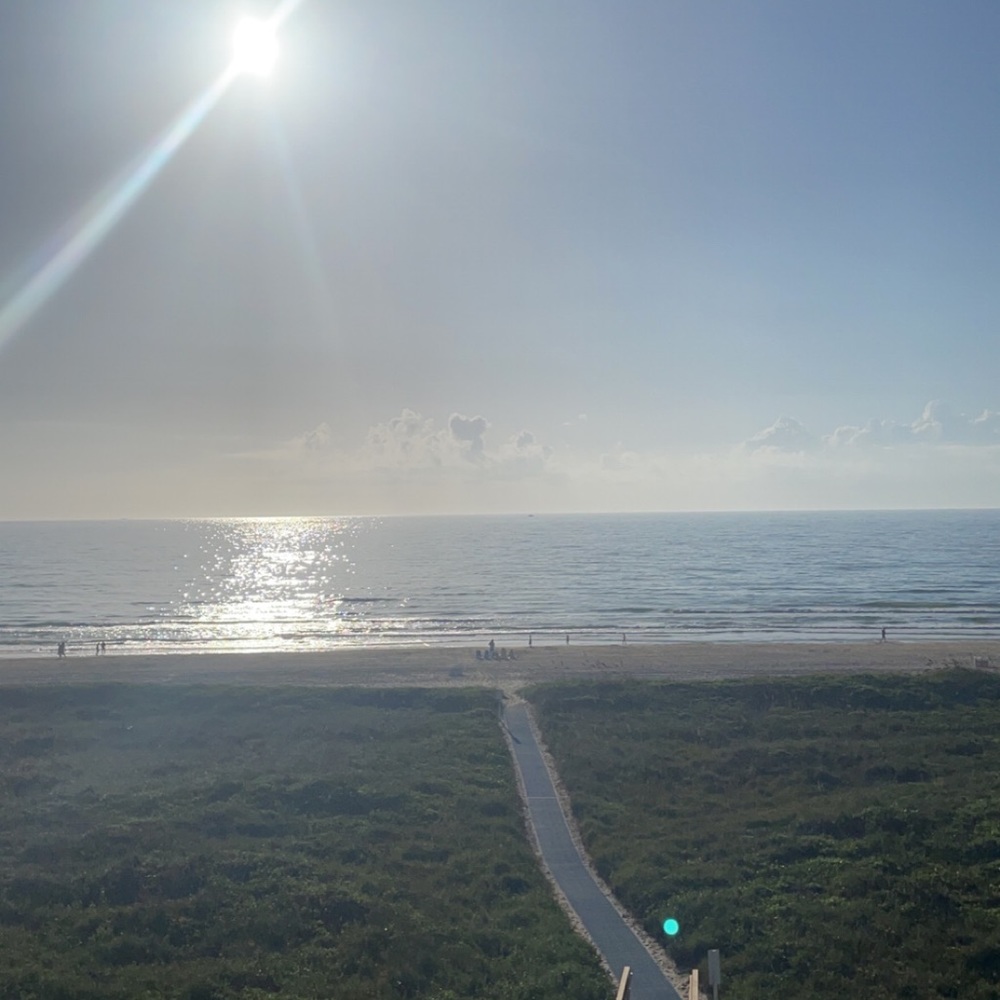 Meet your Posher, Audrey